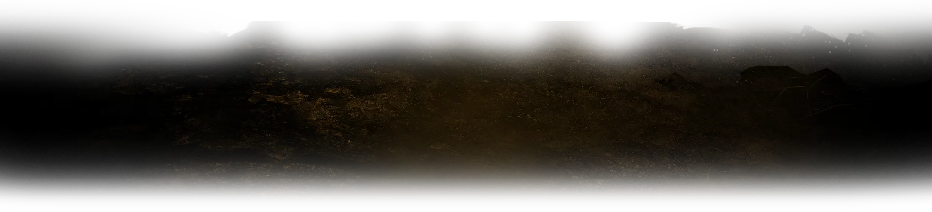 Dirt