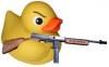 imaduck