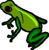 leo55555