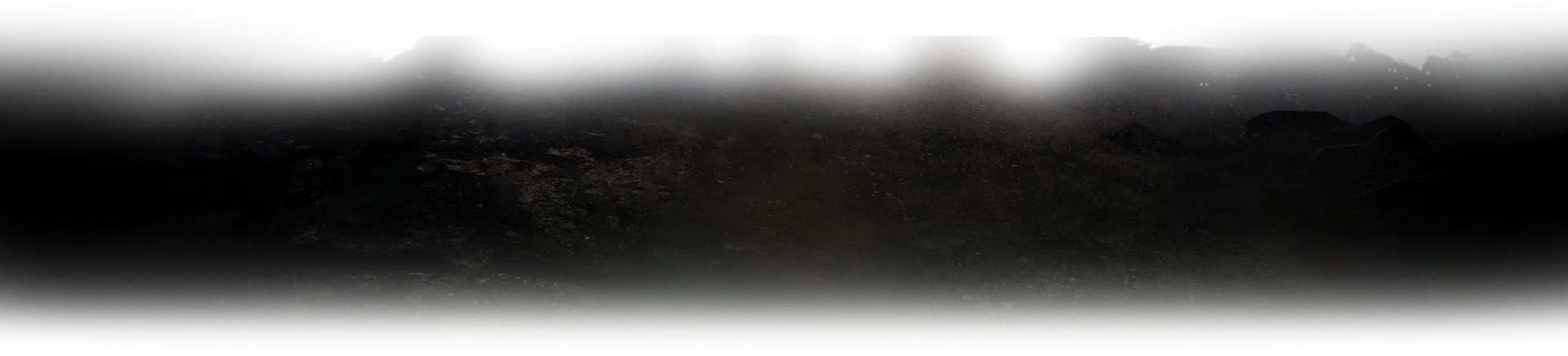 Dirt