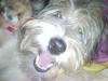 xxXXCodyXXxx