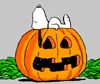 Mr_Halloween