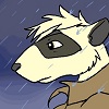 Feralferret