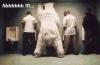 ICEBear