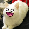 Jihatden