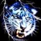 TigerStrikez