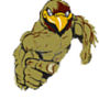l_Hawk_l