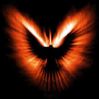 Sparrow007