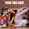 Etris