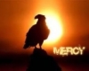 NMercy