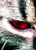 Redvizion