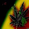 Epicstoner3