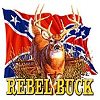 bucked1993