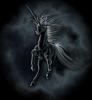 shadowpony