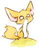 Shadow_CN