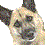 KAP_BAMBINO
