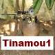 Tinamou1