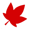 Kitamato