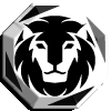 rigordy007