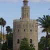 13Sevillano