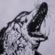 Not_Wolf