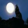 moon_1