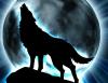 WixaWolf