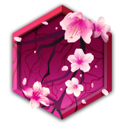 Cherry Blossom