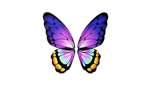 Butterfly Backpack