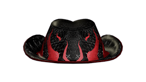 Hexomma Cowboy Hat