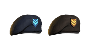 Ascetic Beret