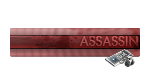 NC_ Custom Assassin Perm  [E]