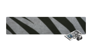 [NC] Stripes