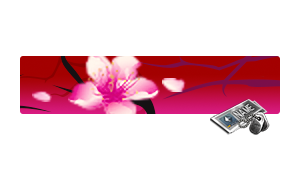 [NC] Cherry Blossom