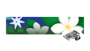 [NC] Spring Green