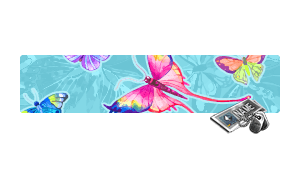 [NC] Butterfly