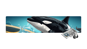 	 [NC] Orca