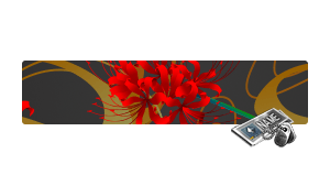 [NC] Equinox Lily