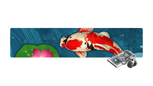 [NC] Koi