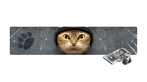[NC] Meowcenary