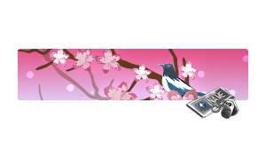 [NC] Sakura Branch