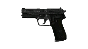 P228
