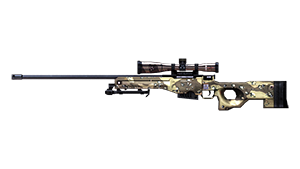 AWM-Camo[C]