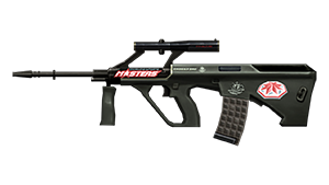 Steyr AUG A1-WEM 2010