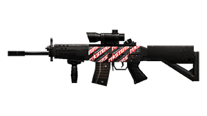 SG552-WEM 2010