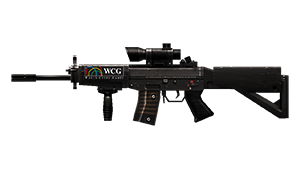 SG552-WCG 2011