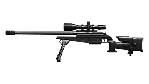 R93 T2