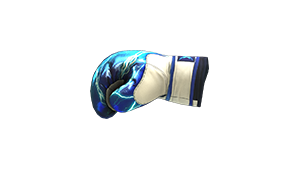Gloves-Storm