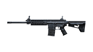 SIG 716