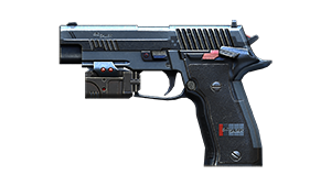 P228-Slate